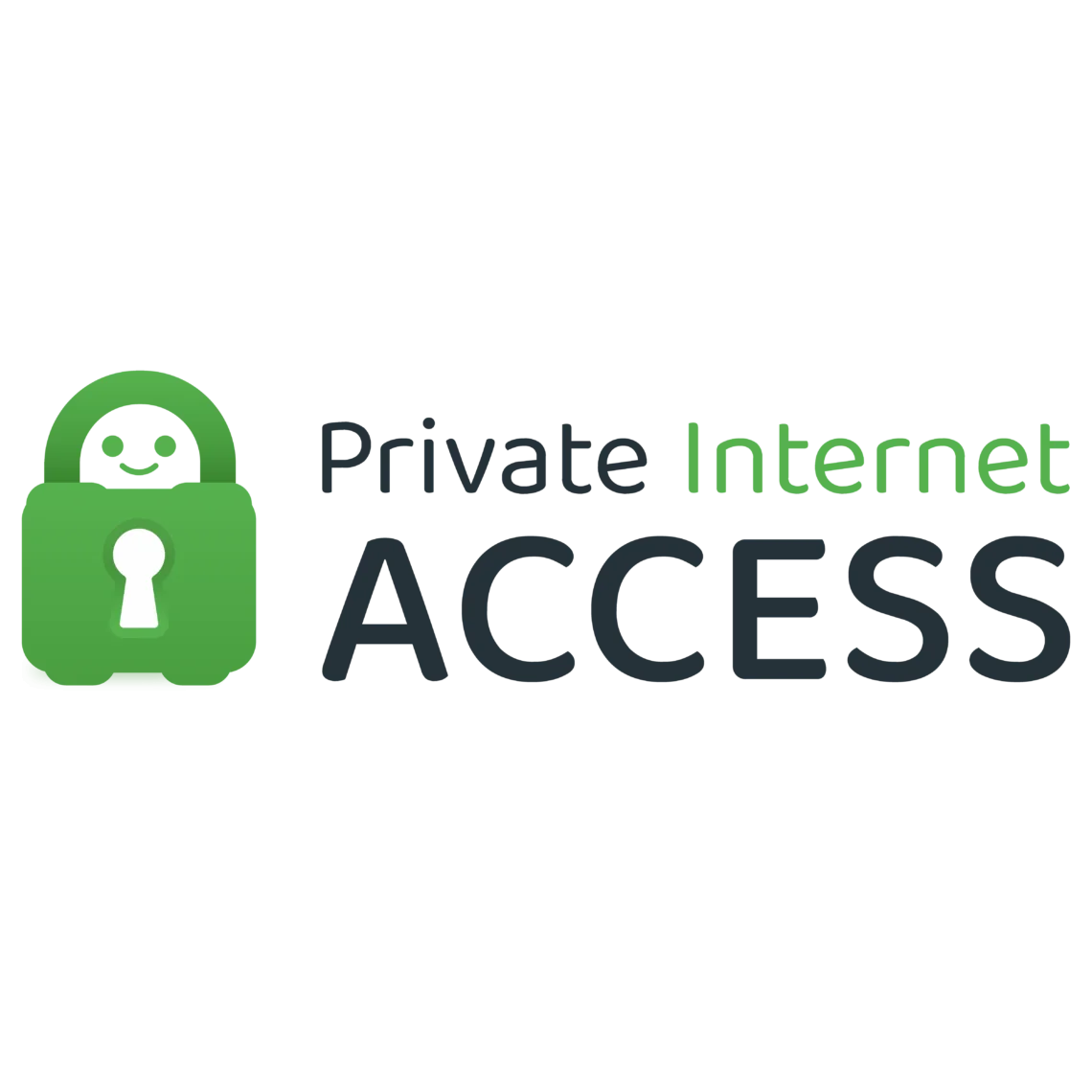 Private Internett Access VPN Logotyp